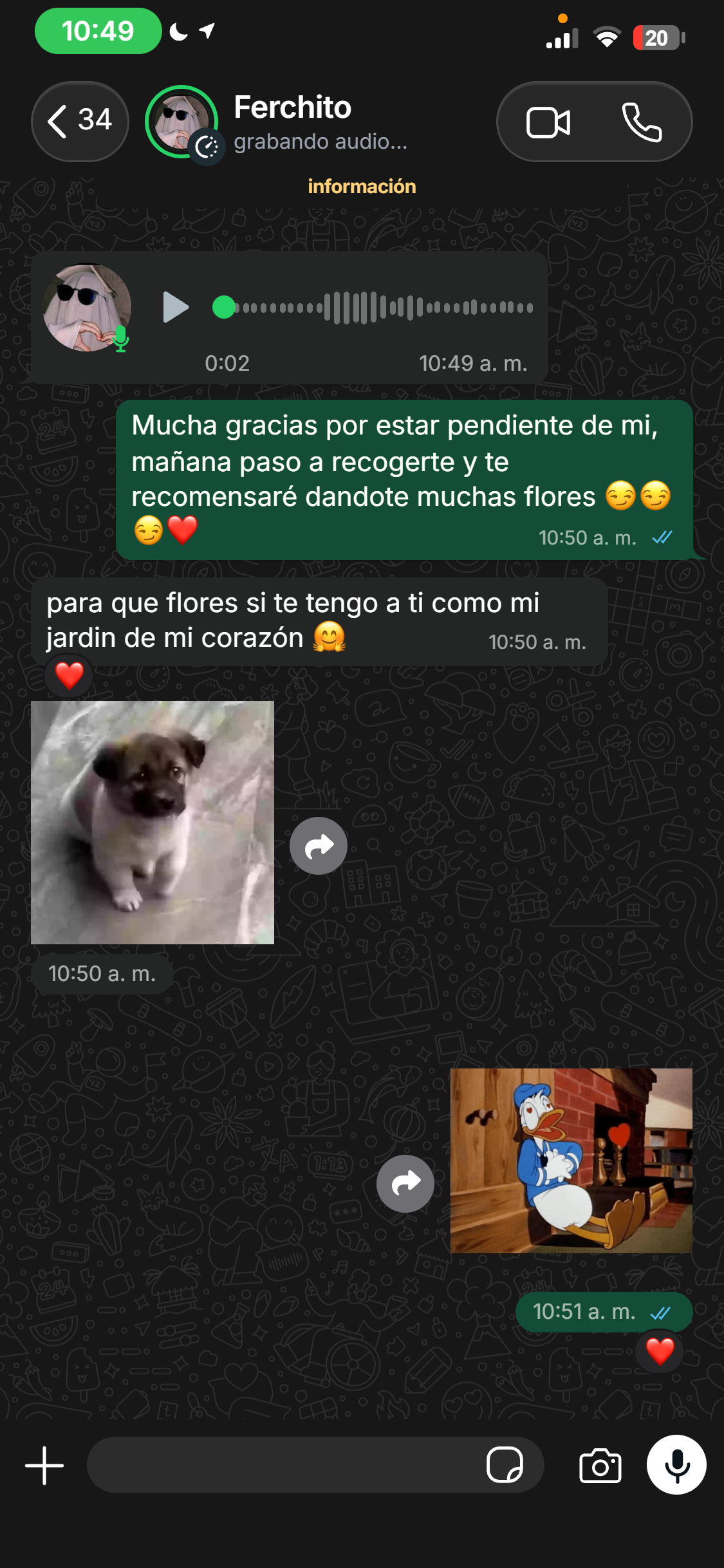 WhatsApp hecho con NamiChats